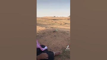 دحيم الحماد 1443ه تلاوة من سورة يس في البر