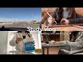 sub)study vlog🇺🇸 勉強して働いて遊ぶ毎日|学生生活最後の過ごし方🌸| USCPA, law student, studying and working hard