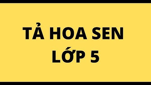 Cách tả đầm sen ở đồng tháp văn lớp 5 năm 2024