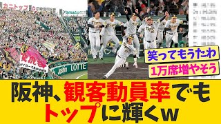 阪神、観客動員率でも12球団トップに輝くwwwww【なんJ プロ野球反応】