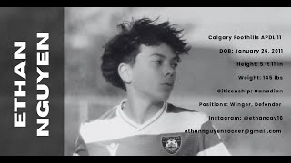 Ethan Nguyen Apdl Soccer Highlights 2025