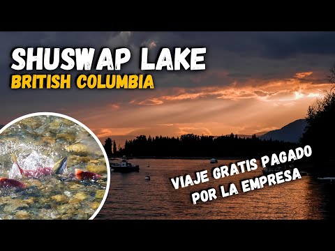 Video: ¿Dónde está el lago shuswap bc?
