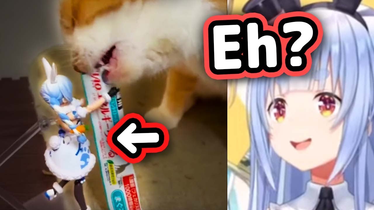 Pekora Notices Her Figure In A Fan's Video...【Hololive】