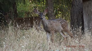 This Weeks Slideshow Of Sorts Part One 7-24-24