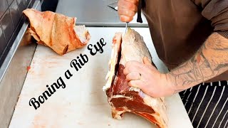 Boning a rib eye off the bone.