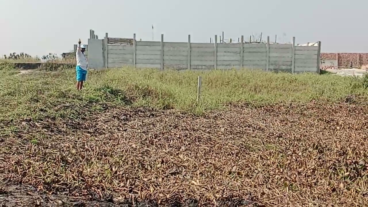 কেরানীগঞ্জ আব্দুল্লাপুর ৩৫ শতাংশ ১০ ও সাথে ১৫ জমি বিক্রয় হবে 01856655500
