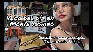 Los Turistas No Conocen Este Lugar - Japón