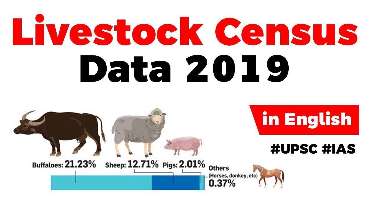 Livestock Census Data 2019 – Economics – Free PDF Download