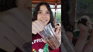 Tarifsiz Yemek Serisi Bardak Kek