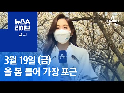 [날씨]오늘 낮 올 봄 들어 가장 포근…미세먼지 ‘보통’ | 뉴스A 라이브