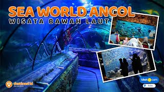 AQUARIUM SEA WORLD ANCOL COCOK BUAT LIBURAN MU MAKIN SERU! | Taman Impian Jaya Ancol - Jakarta