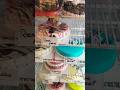 കേക്ക് ആർക്കാ ഇഷ്ട്ടം അല്ലാത്തത് അല്ലെ 🥰🤗#shorts #cake #food #youtube #shortfeed #Nisha Noble🥰🥰