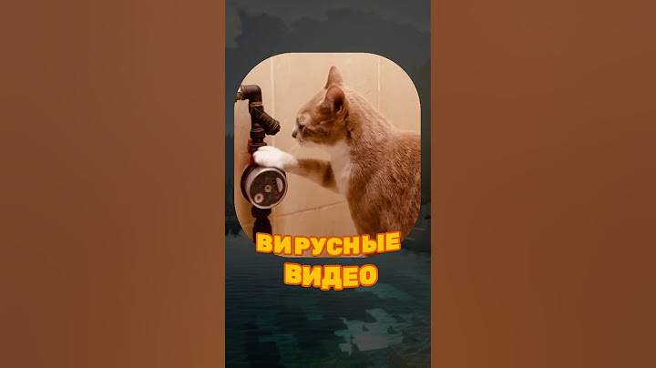 ВИРУСНЫЕ ВИДЕО / Хитрый кот 😅