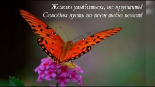 Лукошко позитива для тебя