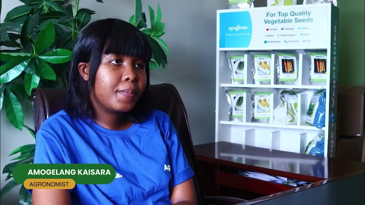 A Beginner's Guide to Onion Farming Botswana 2023 Episode 26 YouTube