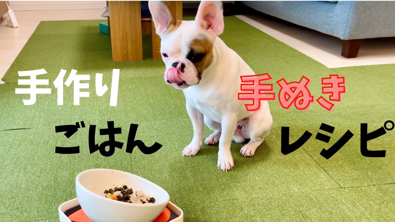 手作りずぼらご飯に挑戦するフレンチブルドッグの子犬/ French bulldog YouTube