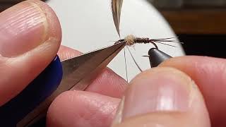 Soft Hackle Wet Fly