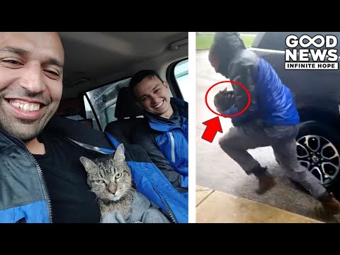 Photographer rescues Cat during Hurricane Milton