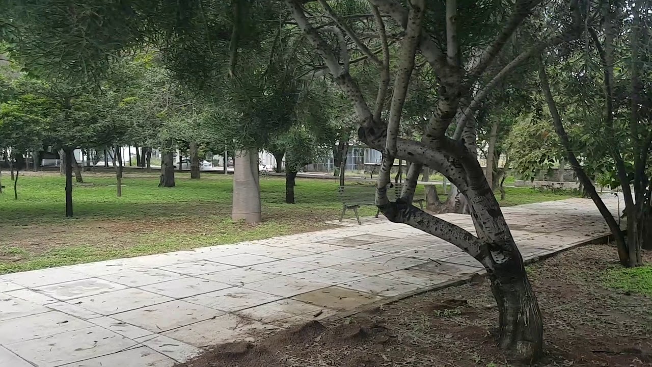 Parque de Las Estrellas , Jardines del Bosque, Guadalajara Jalisco, México YouTube Parque de Las Estrellas , Jardines del Bosque, Guadalajara Jalisco, México YouTube