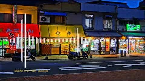 SILENT PARTNER - Butchers