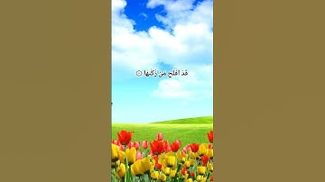 Surah Al Shams { سورة الشمس }  ☆♤☆  الشيخ أنس العمادي