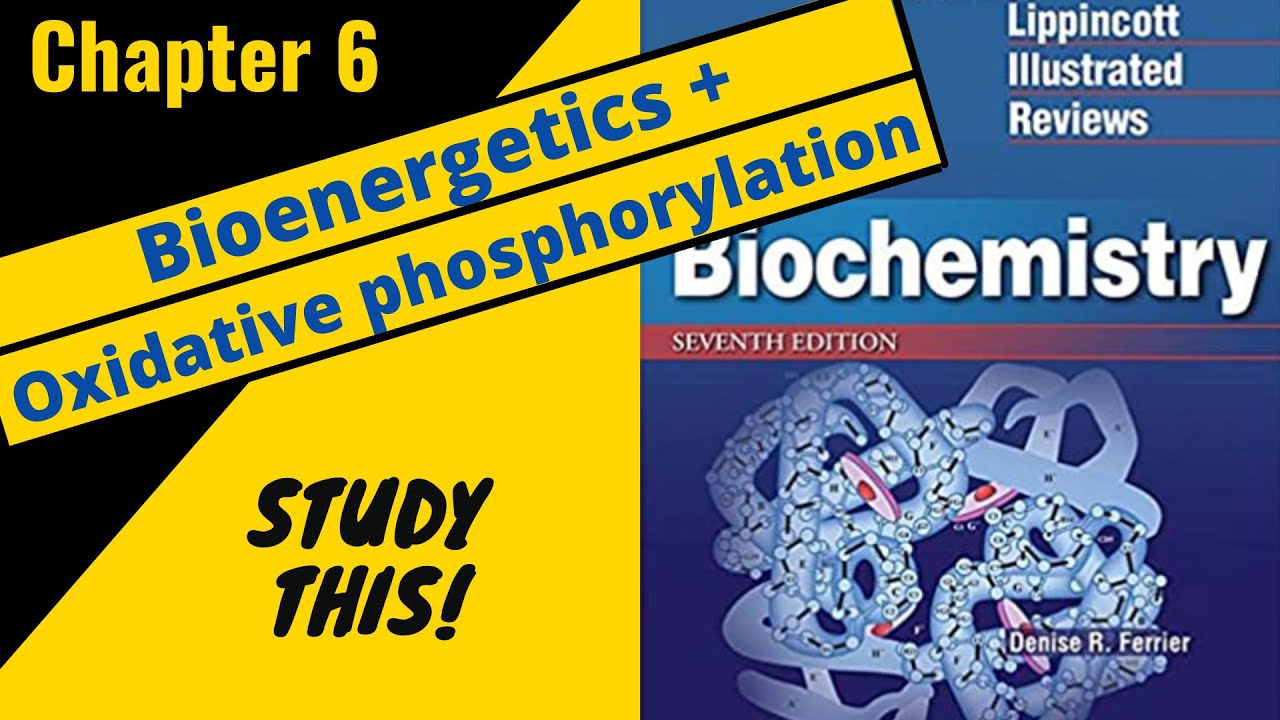 Lippincott Illustrated Reviews: Biochemistry (Lippincott Illustrated Reviews Series) Ferrier，Denise