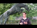 Olivier Philippaerts about his horses