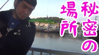 【シバターの釣り】シバターついに秘密の場所ができる