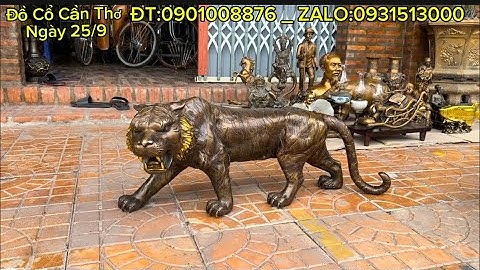 Hổ đồng to _ Trâu đồng to _ Tượng Bác Hồ Bằng Đồng #đồcổcầnthơ #đồcổ 
