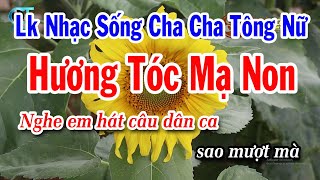 Karaoke Liên Khúc Nhạc Sống Cha Cha Tông Nữ 2024 | Hương Tóc Mạ Non | Hình Bóng Quê Nhà