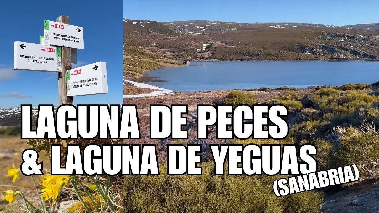 PASEO en SOLITARIO LAGUNA PECES - LAGUNA YEGUAS