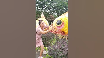 Con cá khổng lồ đi lạc #shost #shortvideo #tiktok #tiktokvideo #youtubeshorts