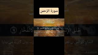 surah Al Rehman( سُورَةُ الرَّحْمٰنِ) recite of Quran. #dailyreminder #quran #islamicknowledge