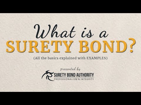 What are Surety Bonds? Explained with Examples