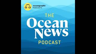 Is the Atlantic Current Collapse Closer than We Think?