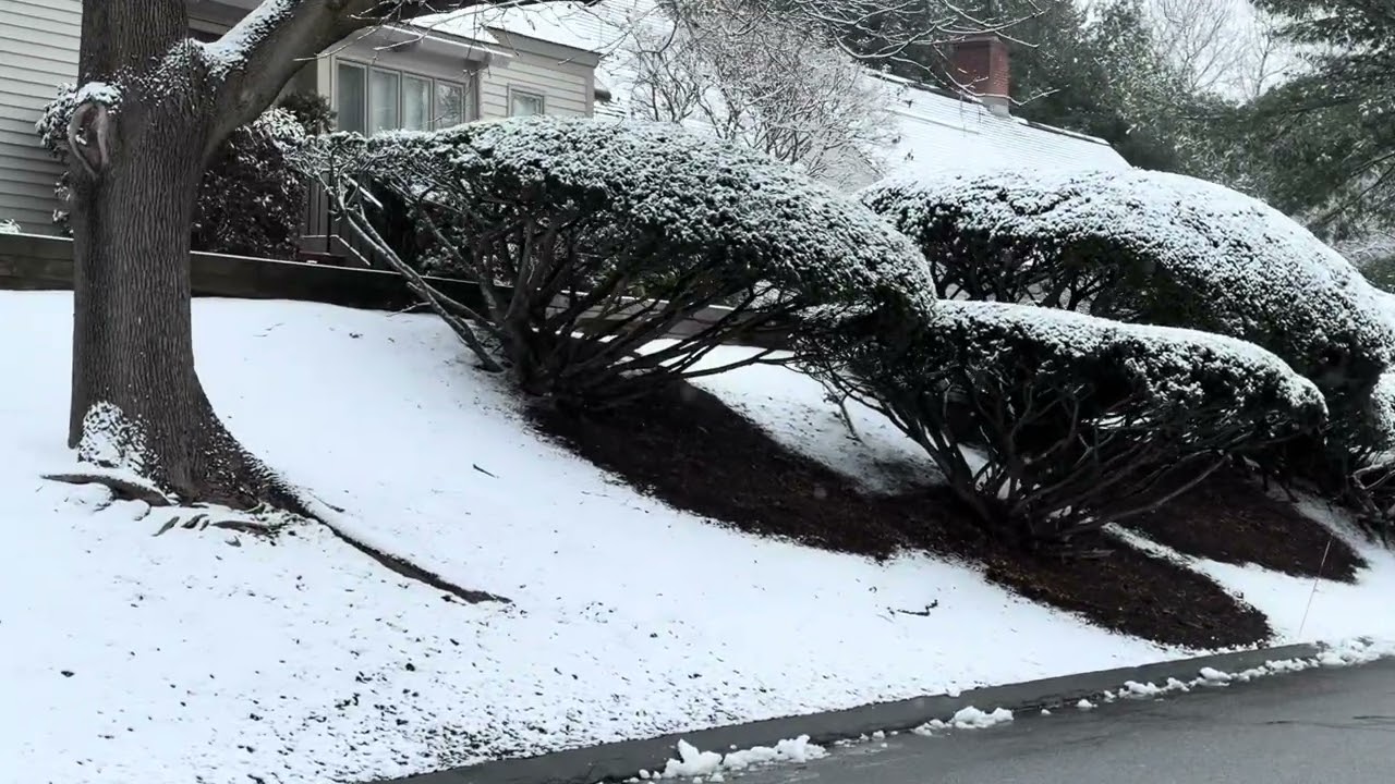 Walking against heavy snow,every step matters/Giữa tuyết rơi dày,mỗi bước đi đều có ý nghĩa 🌧️🥶