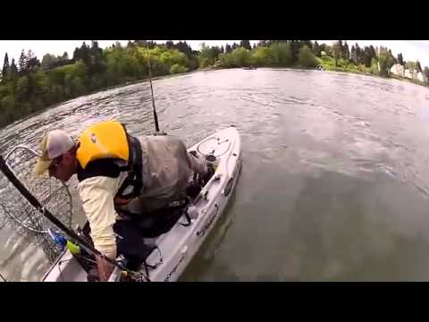 kayak fisherman hit by boat youtube - youtube