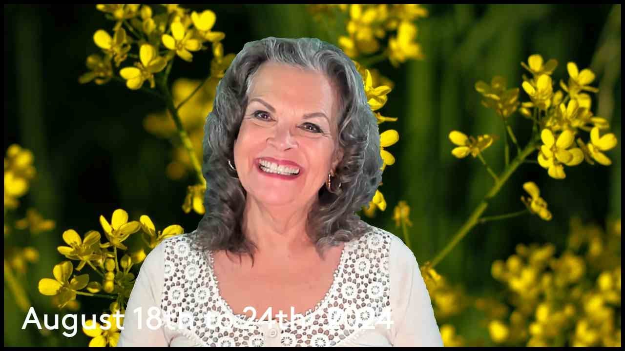 Taurus August 18th to 24th, 2024 Finding YOUR True Purpose! - YouTube