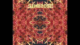Simbiose  - Baque Aboriginal (original mix)