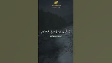 #تلاوة_خاشعة #اكسبلور #القرآن_الكريم #لايك #قران_كريم #راحة_نفسية