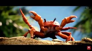 Crab Rave 1 Hour