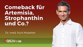 Die Schulmedizin öffnet sich für Phytopharmakas | Dr. med. Kurt Mosetter | QS24 Gremium