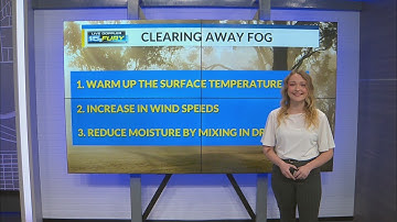 The science behind foggy days