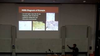 Microbial, abiotic and problematic sedimentary surface textures from the Archean to the present