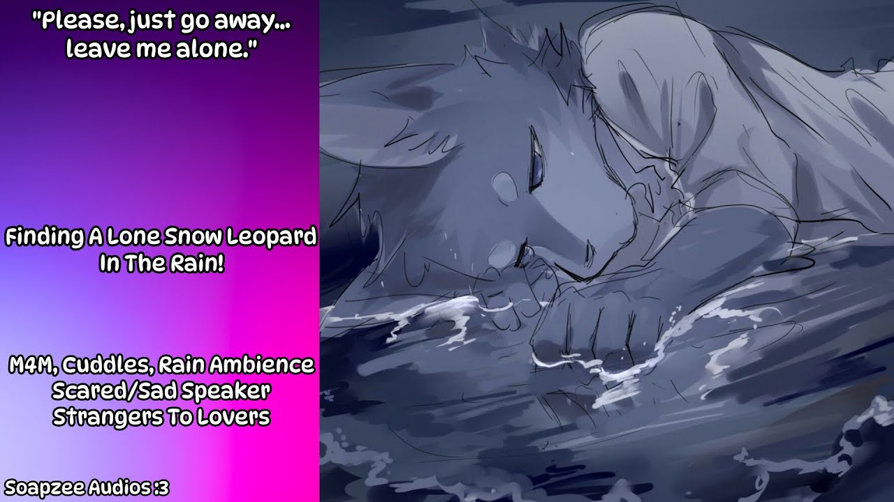 [M4M] Finding A Lone Snow Leopard In The Rain! (Cuddles) (Rain Ambience) (Strangers to lovers)