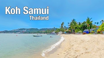 Koh Samui, Thailand 🇹🇭- Bangrak Beach Koh Samui 2022 - Walking Tour