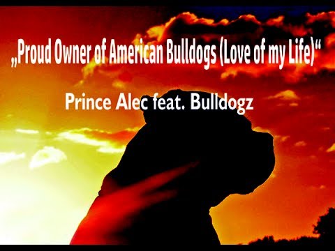 Video: "Beats By Bulldog" ist die einnehmendste Melodie, die jemals gesungen wurde