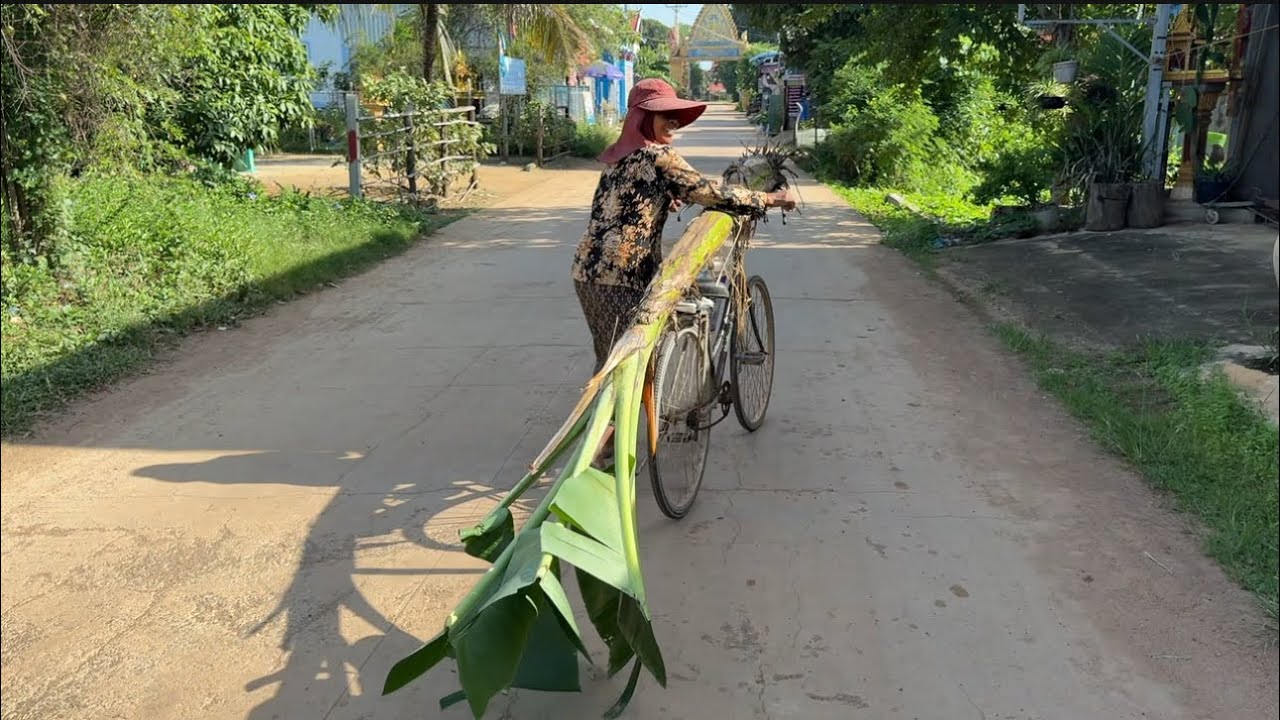 Village Living on Mekong River Bank in Countryside, Cambodia