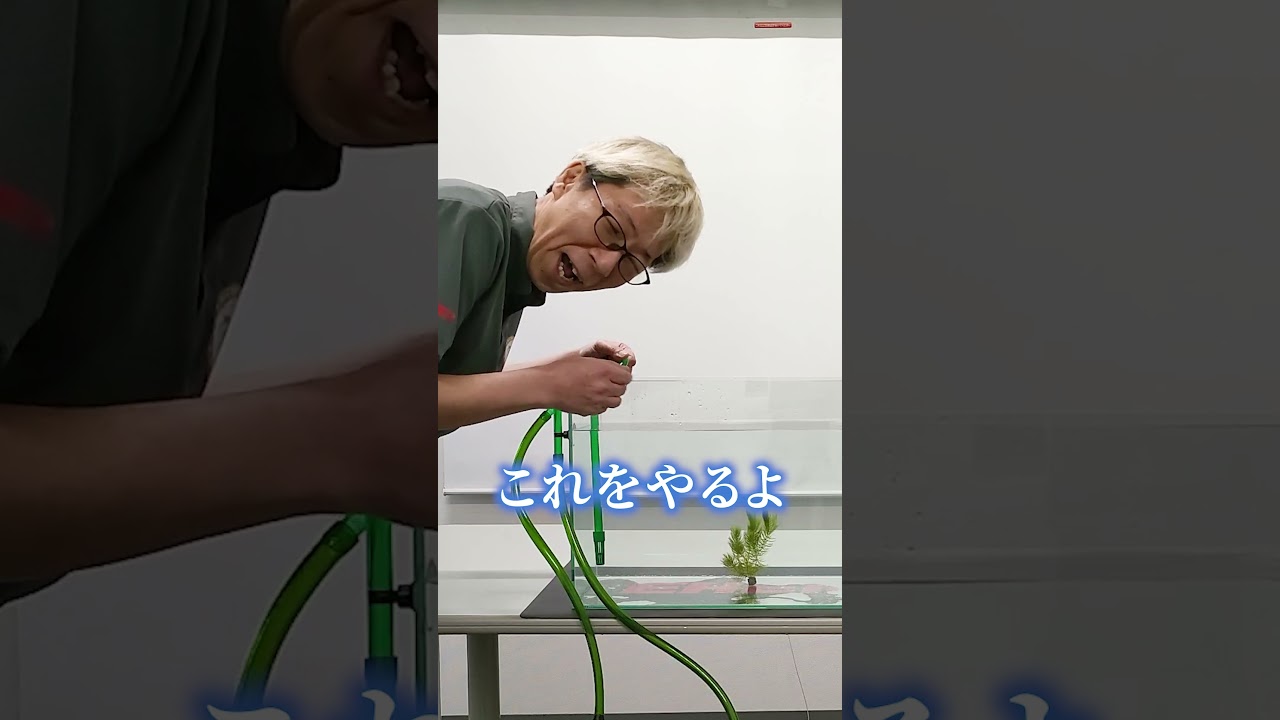 エーハイムの外部式フィルター買ってホースも繋いだけど...水が出てこない・・・
