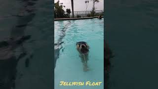 Jellyfish Float